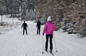 trójka narciarzy biegowych w lesie